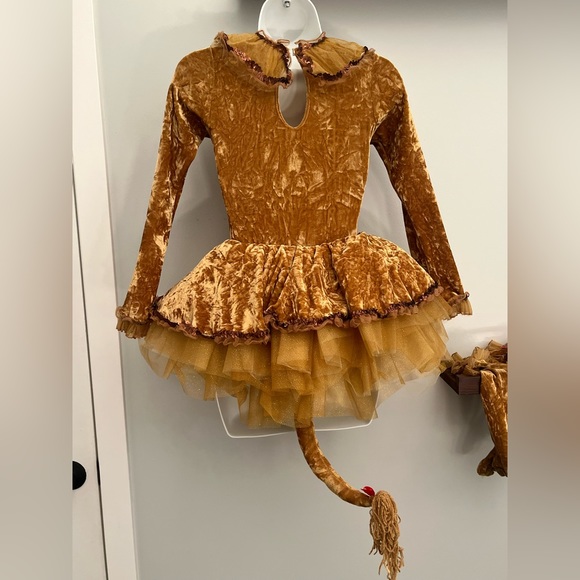 Revolution lion dance costume - Picture 2 of 3